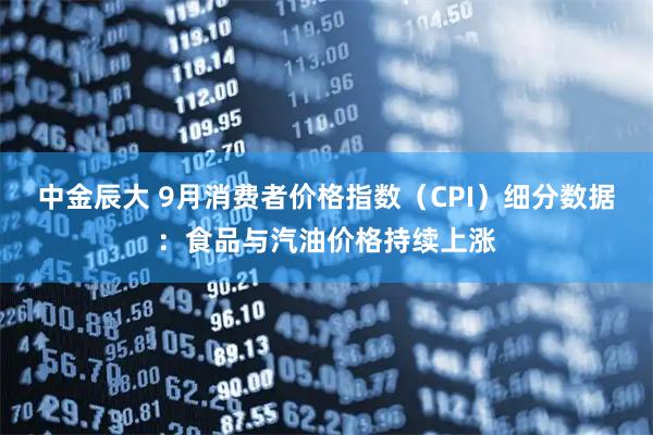 中金辰大 9月消费者价格指数（CPI）细分数据：食品与汽油价格持续上涨