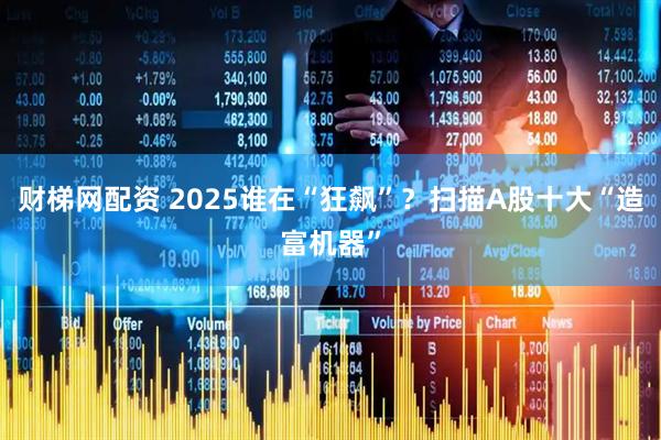 财梯网配资 2025谁在“狂飙”？扫描A股十大“造富机器”