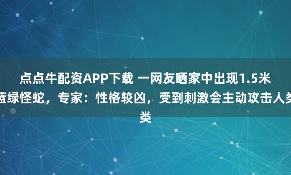 点点牛配资APP下载 一网友晒家中出现1.5米蓝绿怪蛇，专家：性格较凶，受到刺激会主动攻击人类